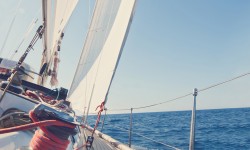 Suspendisse arcu nisl